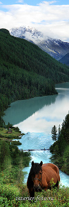 Вертикальное фото На Кучерлинском озере Алтай 