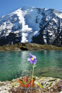 купить красивые фото Алтая Долина семи озер на Алтае