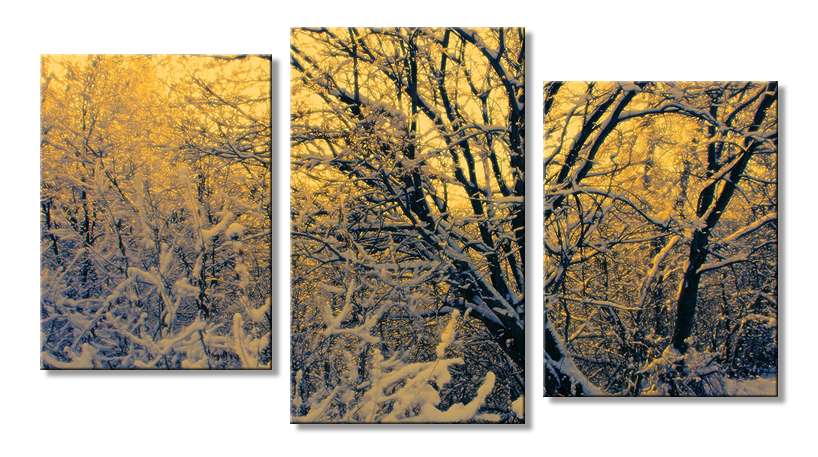 Модульное фото - зима