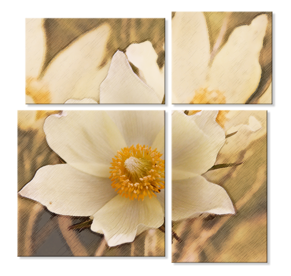 Модульное фото - цветы
