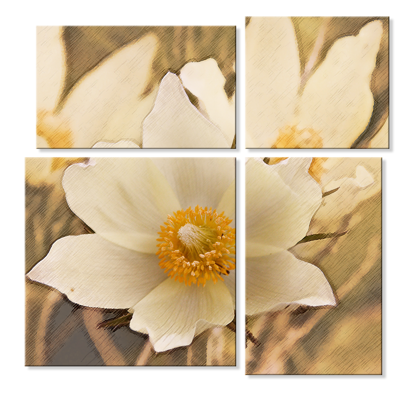 Модульное фото - цветы