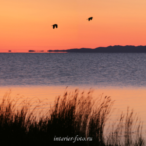 Яркие фотографии Рассвет на озере Хар-Ус-Нуур
