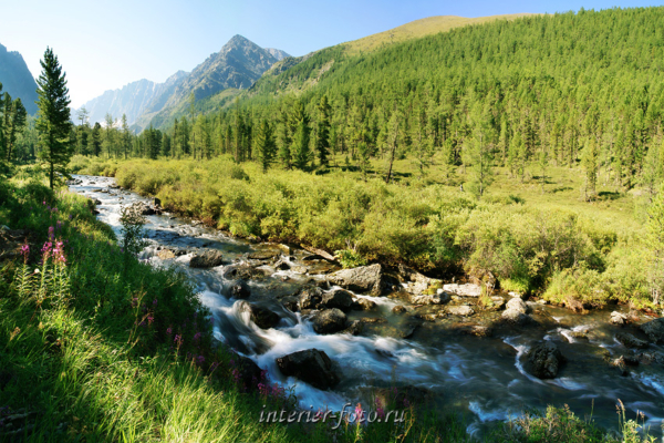 Долина реки Куйгук - Катунский хребет