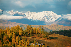 Северо-Чуйский хребет осенью