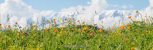 Красивые горы Весна на Айгулакском хребте