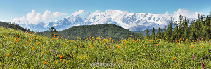 Весна в горах. Вид на Северо-Чуйский хребет. Алтай (6384)