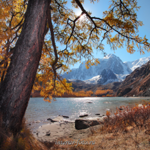 Осенний Алтай Верхнее Шавлинское озеро