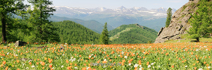 Красивое Панорамное фото Алтай - парк Уч-Энмек
