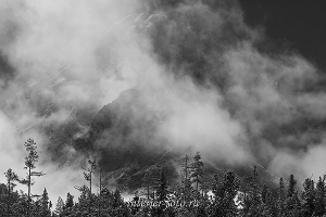 Черно-белый пейзаж Туманное утро в долине Кучерлы