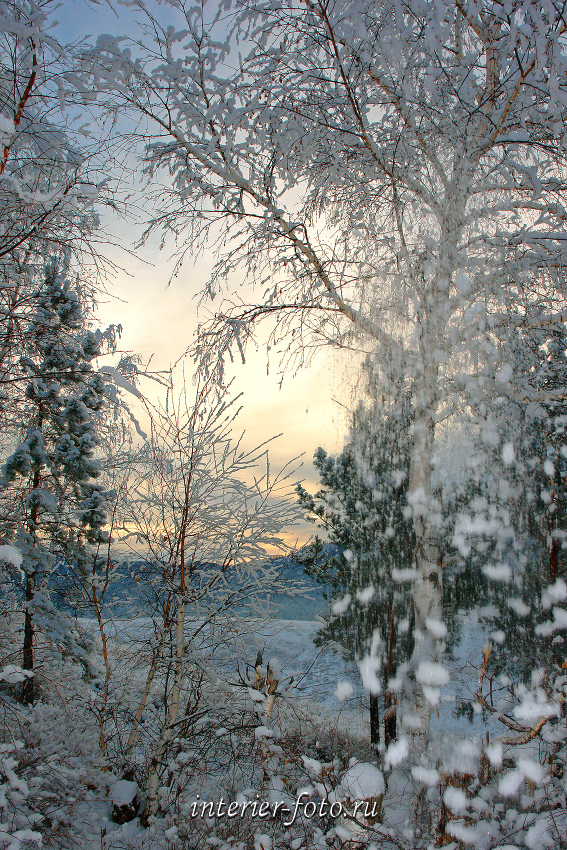 Зима в Белокурихе