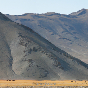 Монгольские пейзажи