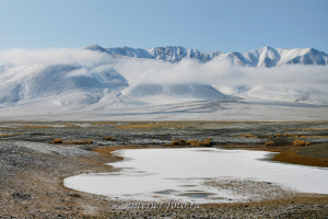 Гора Сайр в Монгольском Алтае
