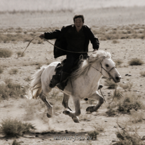 Всадник - Монголия