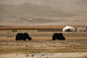 Пейзажи Монгольского Алтая
