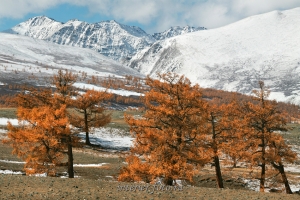 Пейзажи Монгольского Алтая