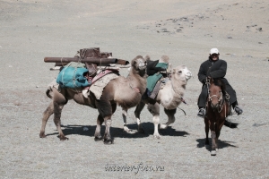 Современные кочевники Монголии