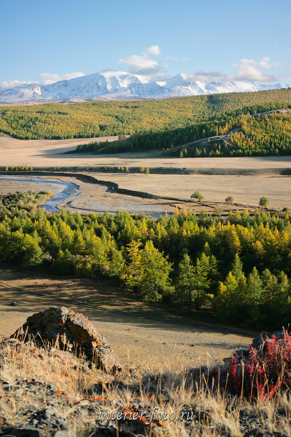 Монгун-Тайга над долиной каргы в Западной Туве