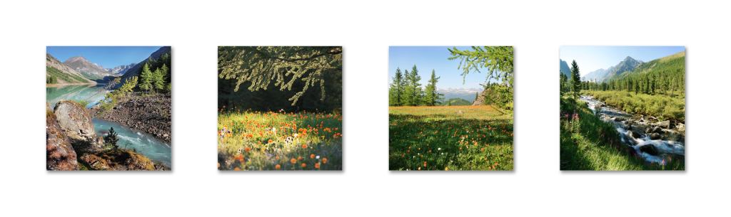Классический полиптих из 4 фотографий горизонтального расположения