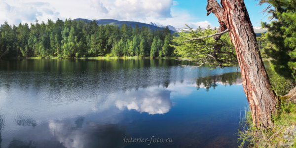 Панорамная фотография Алтай