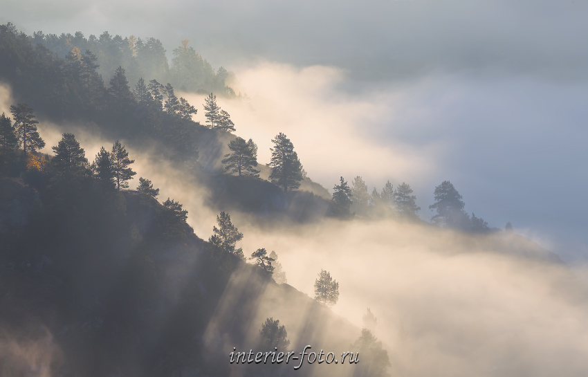 Туманное утро в Чемале