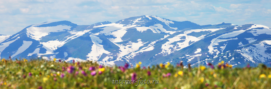 Весна в Алтайских горах