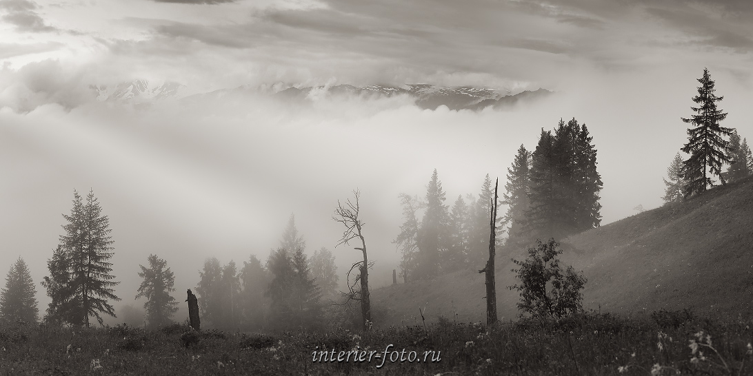 чб фото Туман в горах