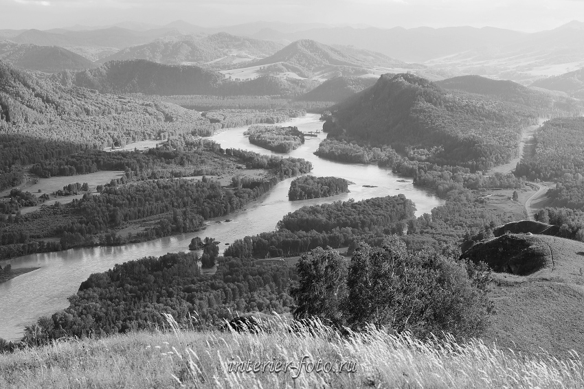 Река Черно Белое Фото
