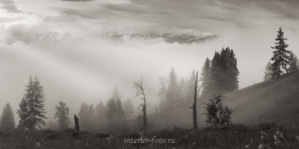 Черно-белое фото Туман