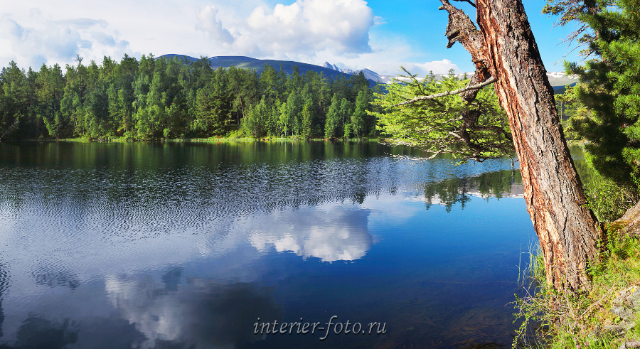 Отражение в озере Алтай