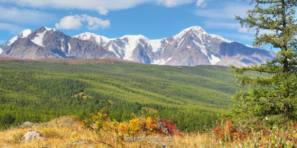 Панорама Северо-Чуйский хребет